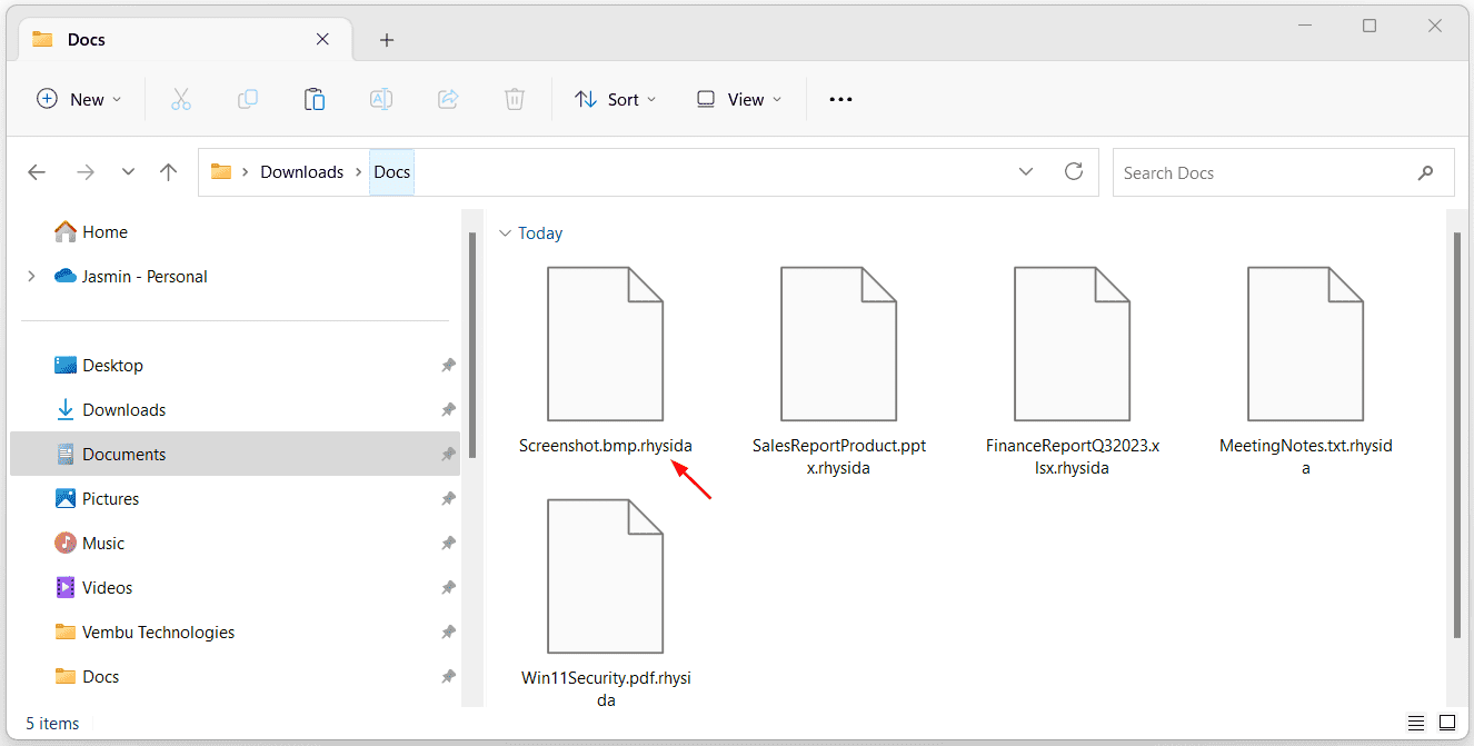 Программа-вымогатель Rhysida зашифровала файлы на компьютере под управлением Windows и сделала их бесполезными